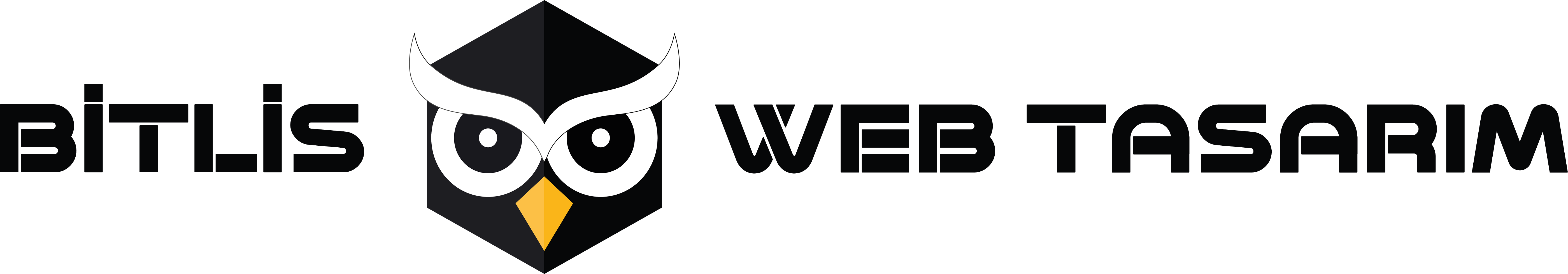 Bitlis Web Tasarım Logo
