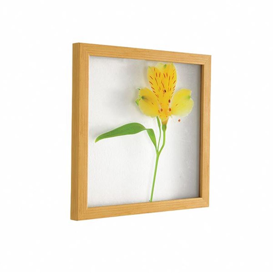 Çerçeveli Sarı Çiçek Pano