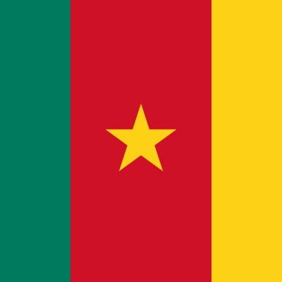 Kamerun Vizesi