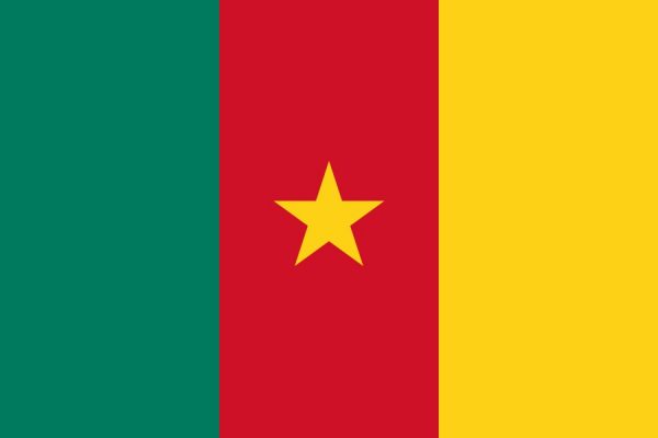 Kamerun Vizesi