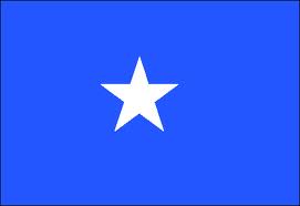 Somali Vizesi